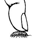 画像：だんご と わらじ